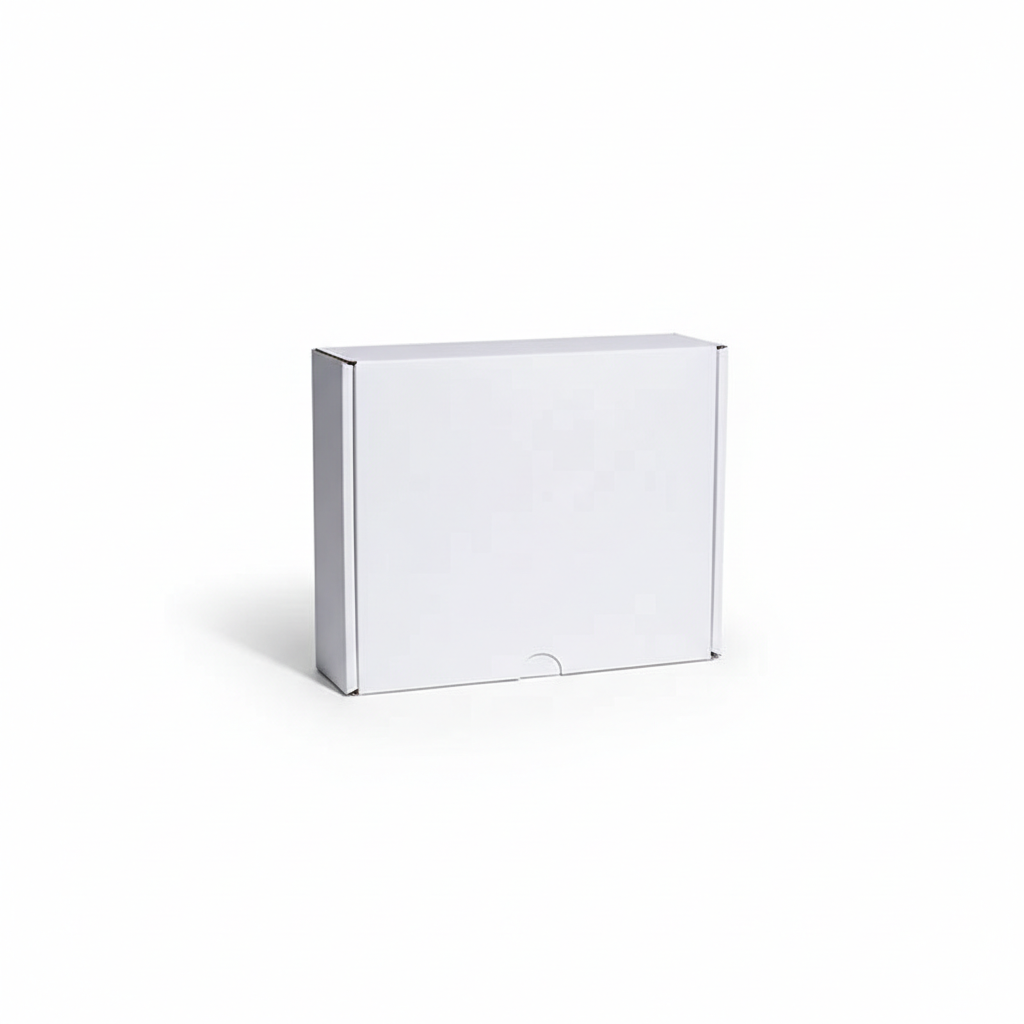 PAPER DINNER BOX SMALL