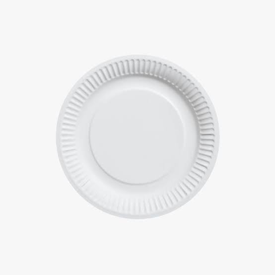  PAPER PLATE