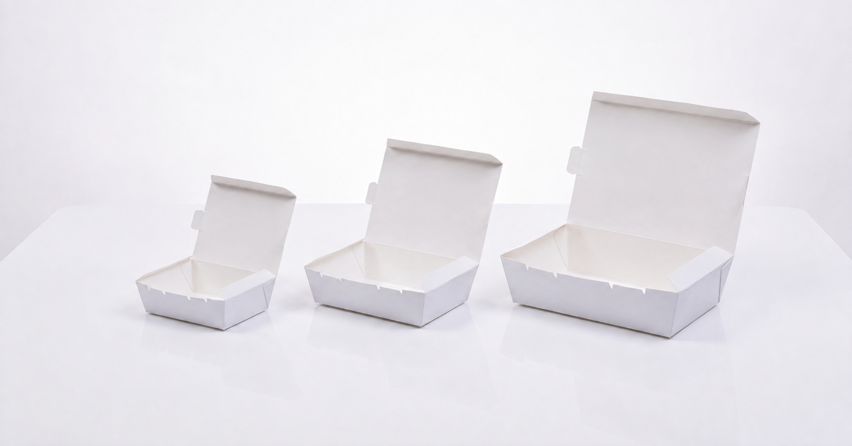  PAPER LUNCH BOXES