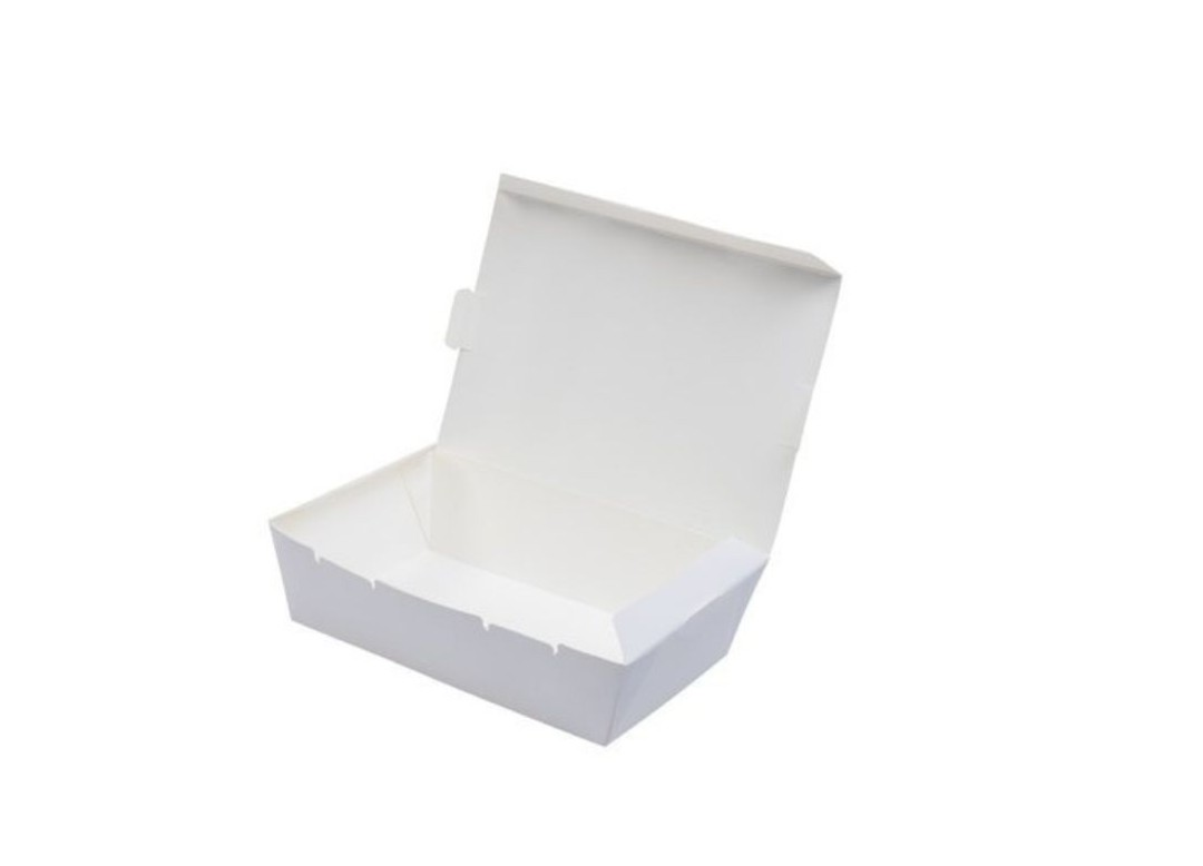 LARGE PAPER LUNCH BOX