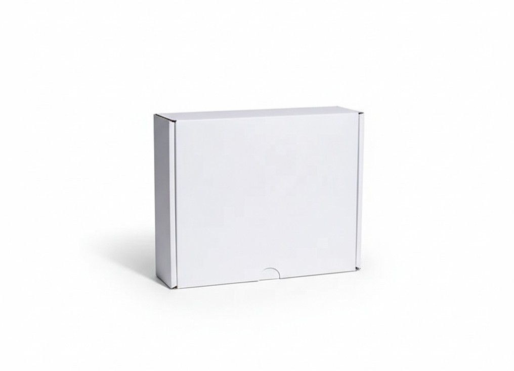 PAPER DINNER BOX MEDIUM