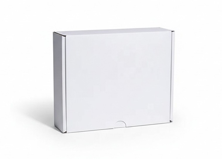 PAPER DINNER BOX LARGE