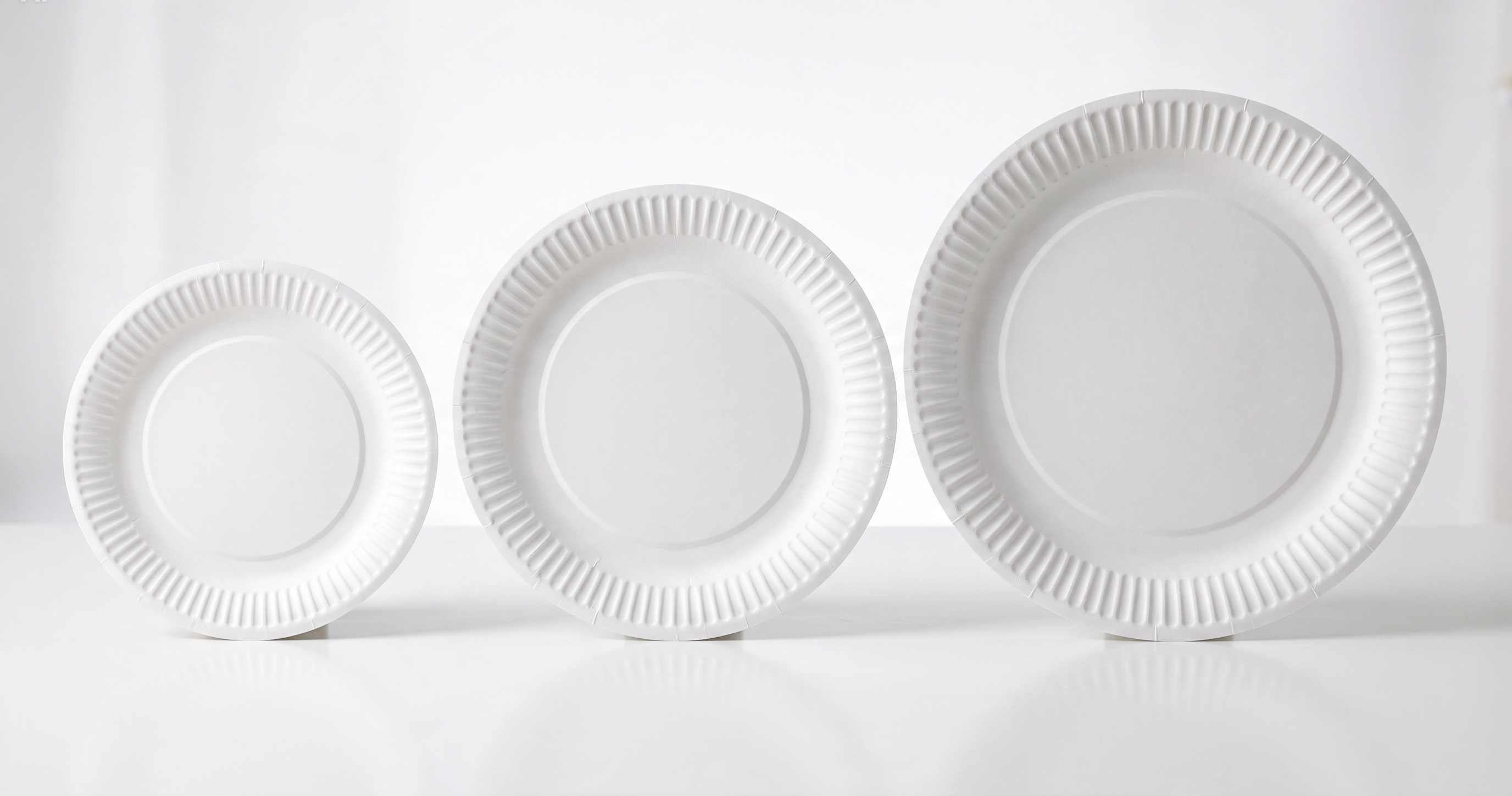  PAPER PLATE