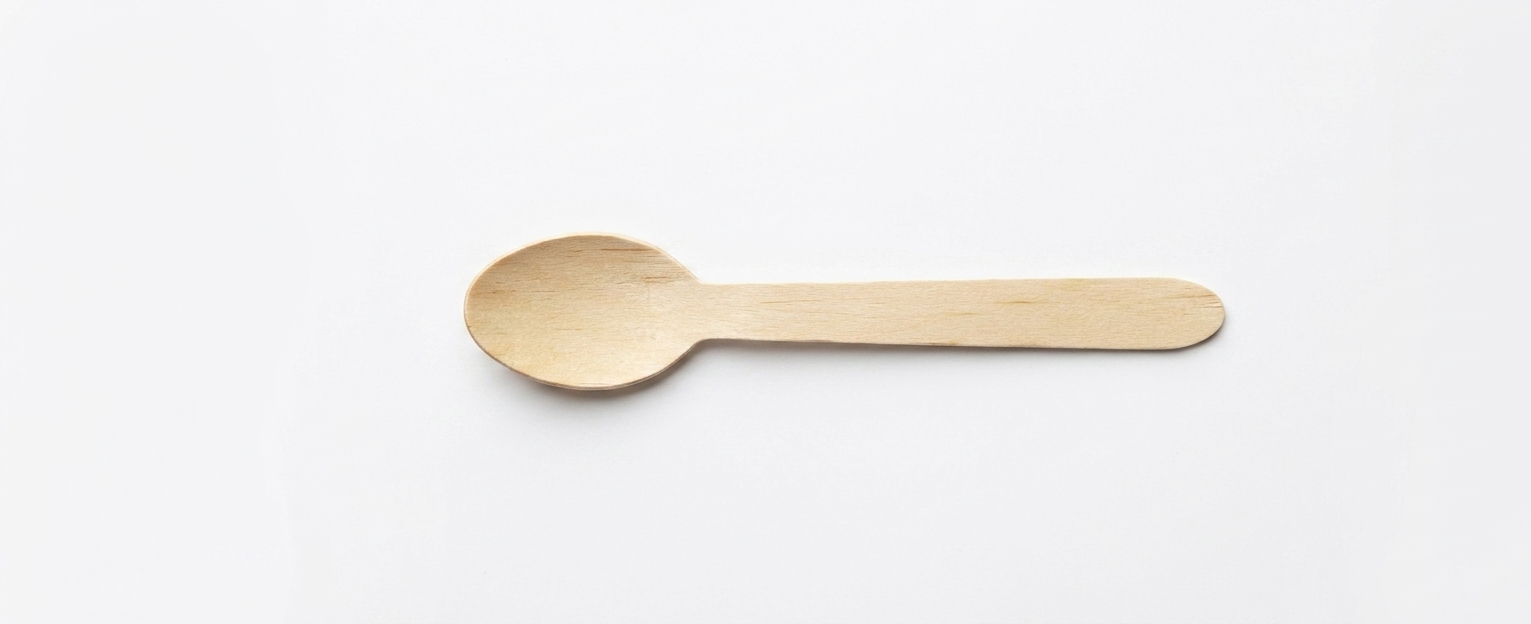 BIODEGRADABLE SPOON 