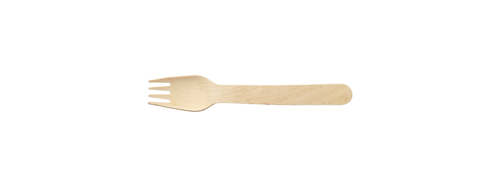 BIODEGRADABLE FORK
