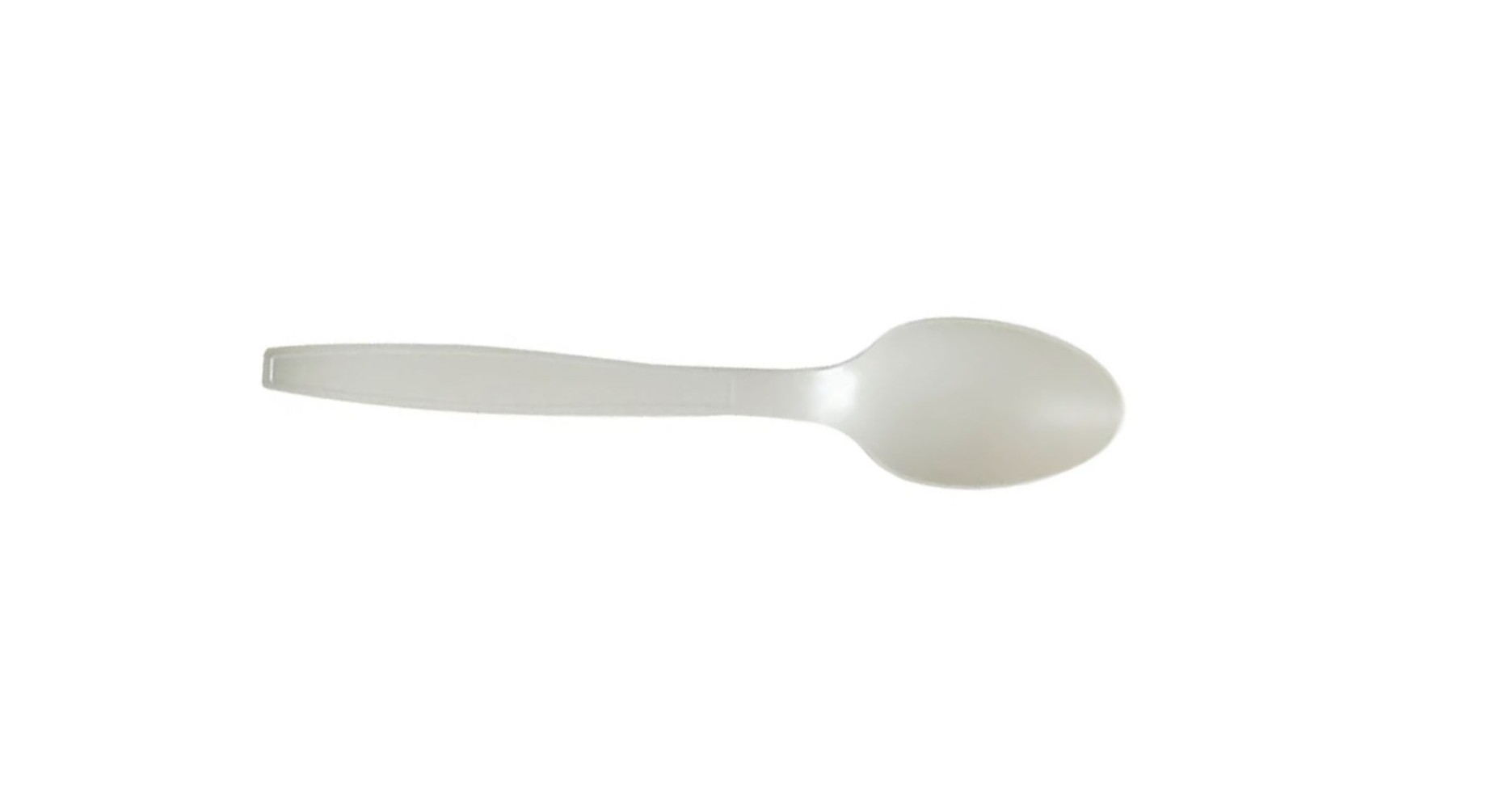 Biodegradable Spoon