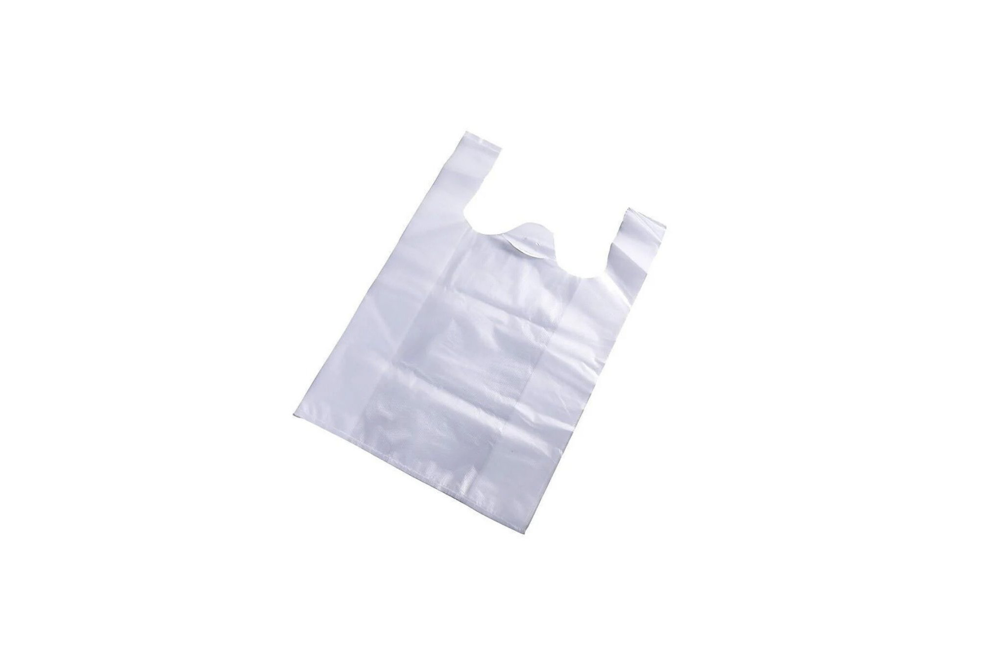 Clear Bag Large