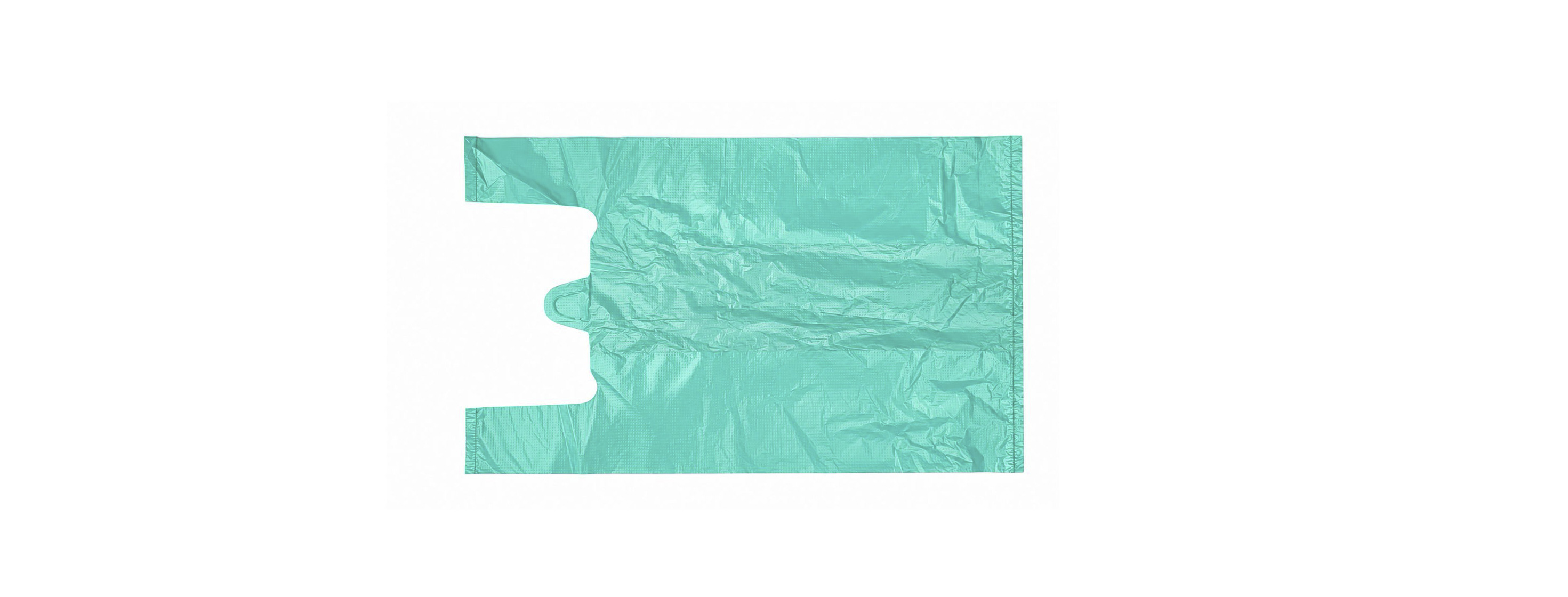 Saver Bag Green Small